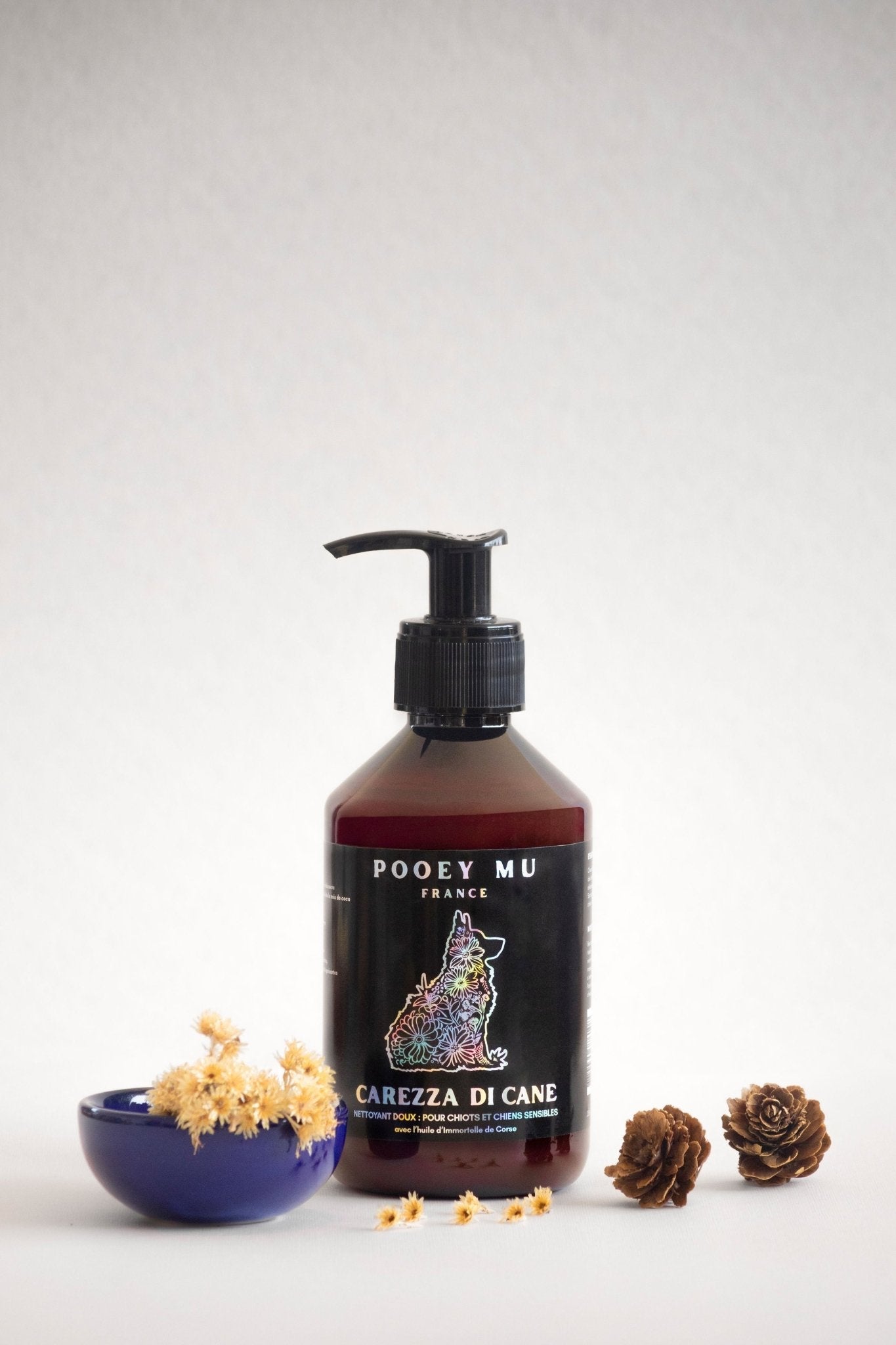 Immortelle for Dogs — Benefits, Safety, and Uses